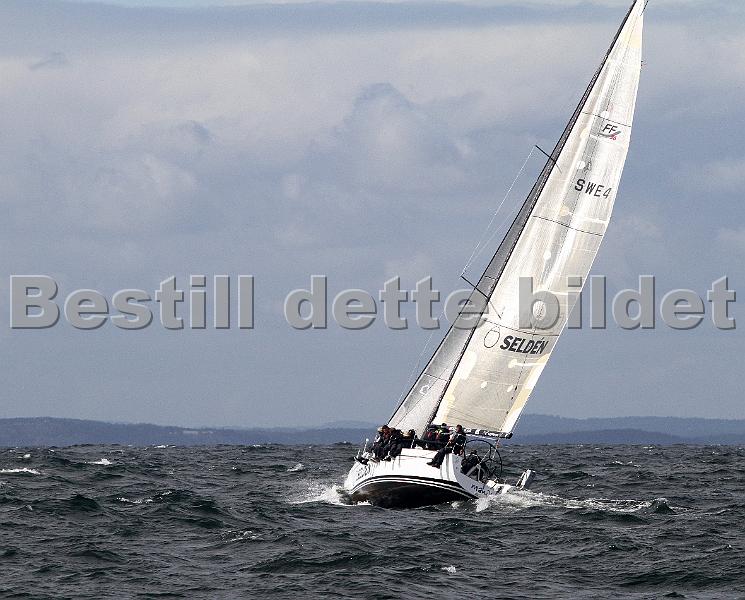 ORCi 373.jpg